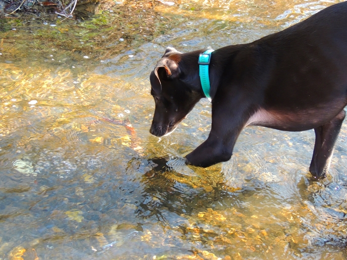 DSCN0518.JPG