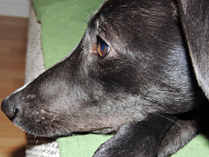 DSCN0555.JPG