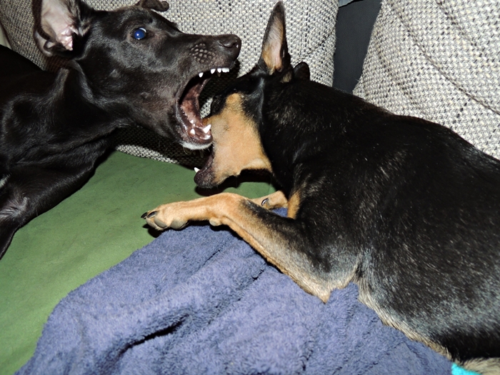 DSCN0558.JPG