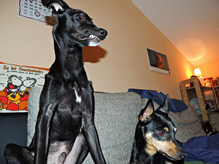 DSCN0564.JPG