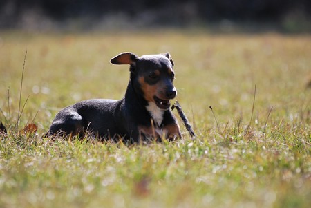 DSC_2467.JPG