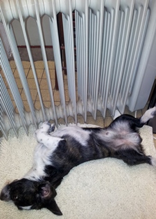 Erst mal trocknen lassen