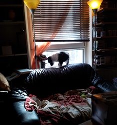 Aber vorher muss das Handtuch richtig gelegt werden!