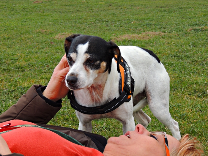 DSCN0674.JPG