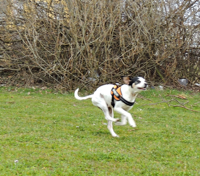 DSCN0689.JPG