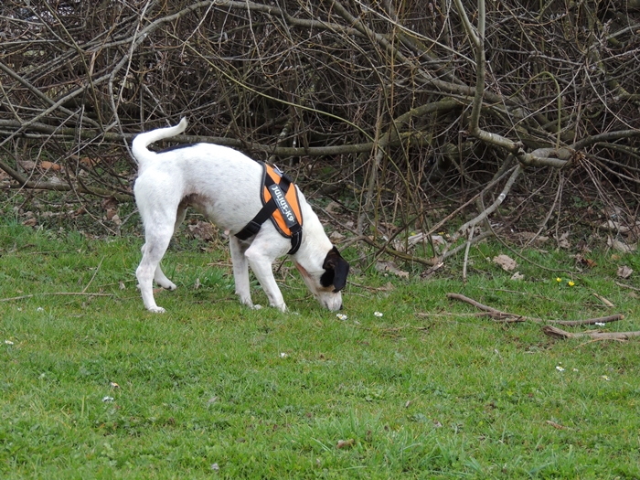 DSCN0718.JPG