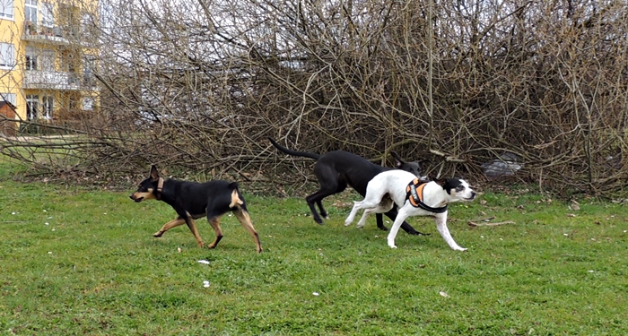 DSCN0720.JPG