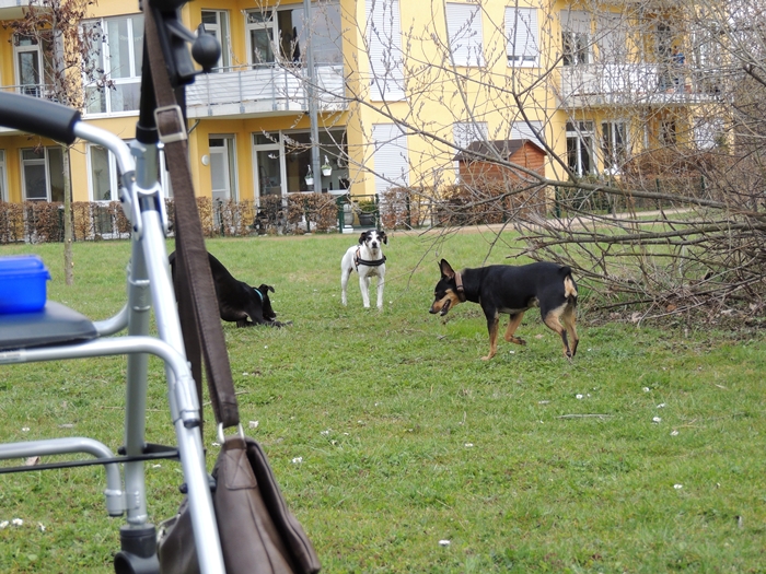 DSCN0721.JPG