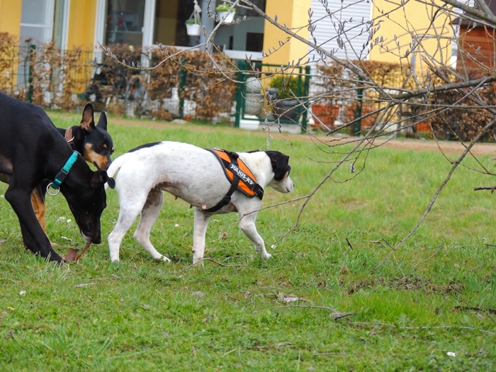 DSCN0734.JPG
