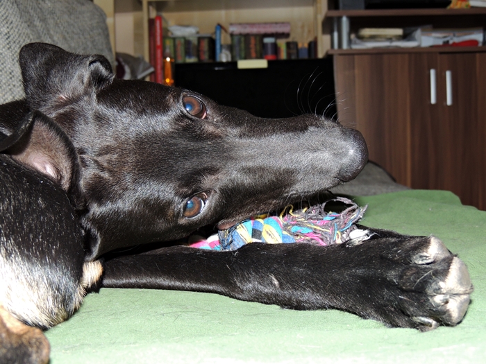 DSCN0631.JPG