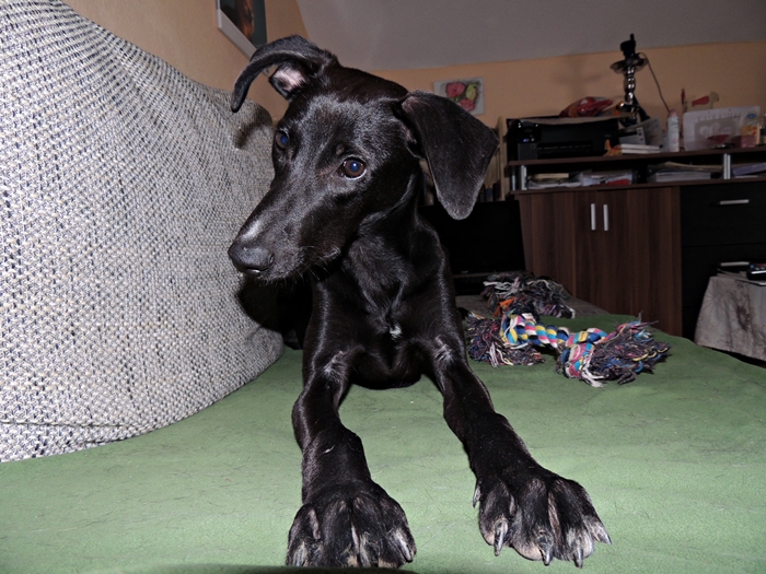 DSCN0643.JPG