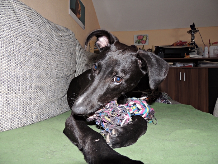 DSCN0645.JPG