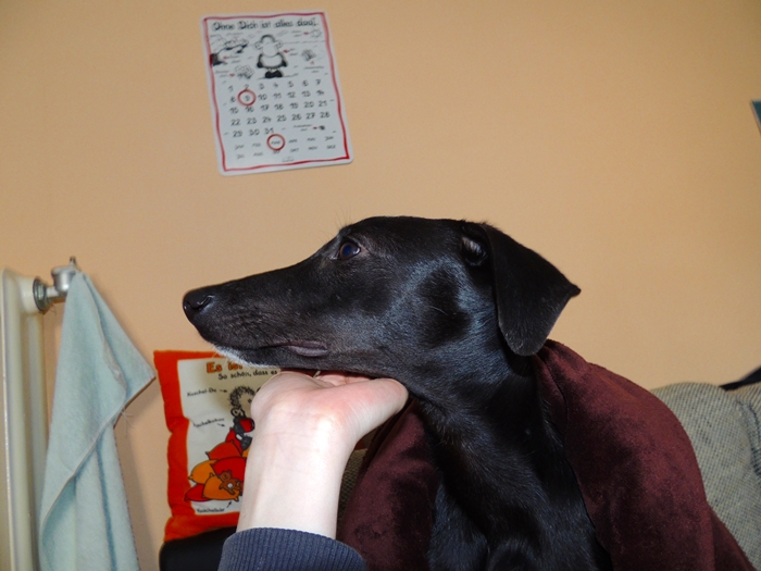 DSCN0777.JPG