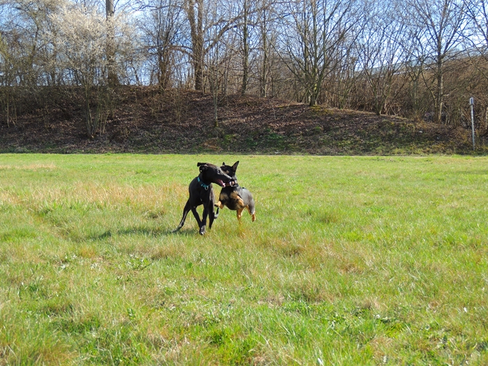 DSCN0793.JPG