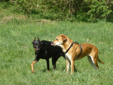 P1000716.jpg