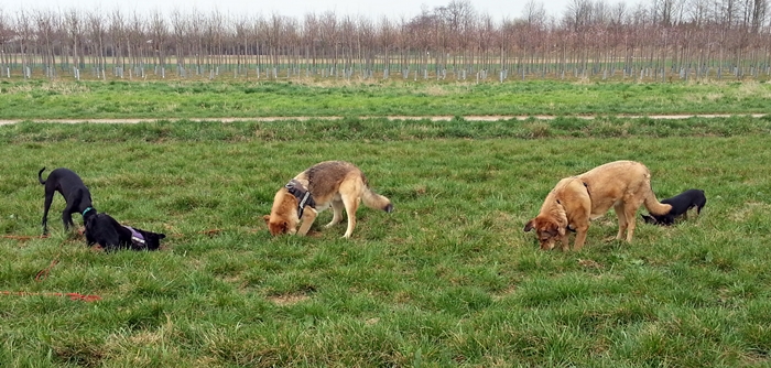 20130415_170947.jpg