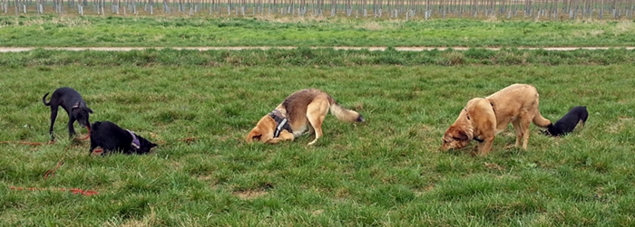 20130415_170950.jpg