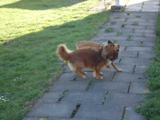 Letzter Tag von Canela 021.JPG