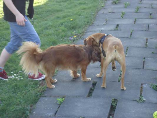 Letzter Tag von Canela 037.JPG