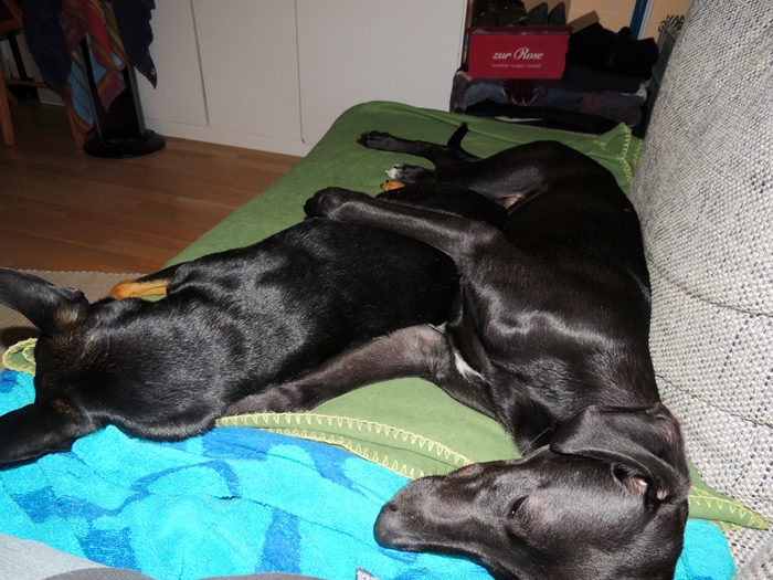 DSCN0933.JPG