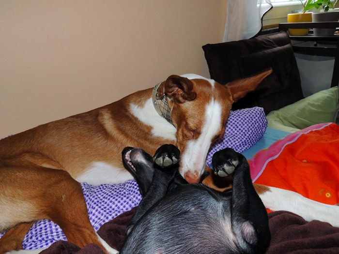DSCN0848.JPG