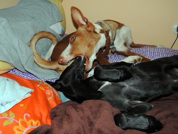 DSCN0859.JPG