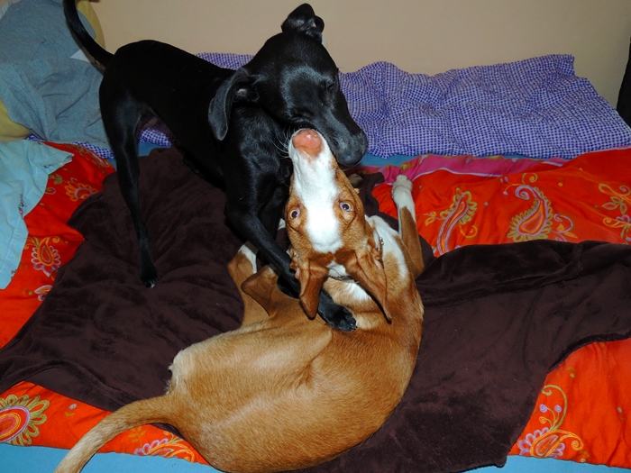 DSCN0863.JPG