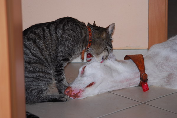 DSC_0015%202.jpg