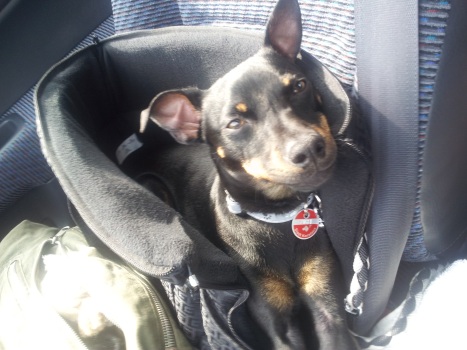 2013-04-04 15.09.24.jpg