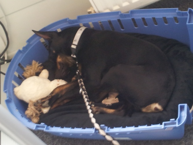 2013-04-10 13.14.55.jpg