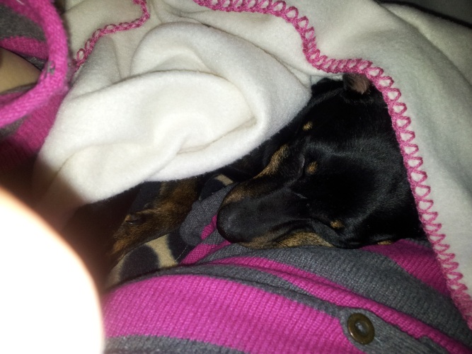 2013-04-12 20.59.59.jpg