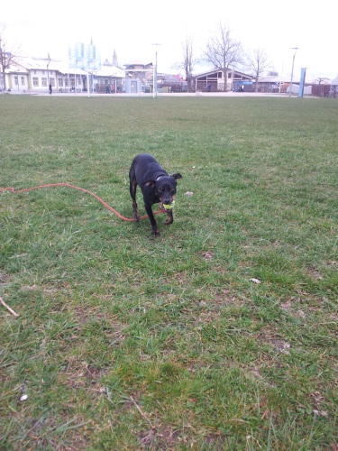 2013-04-13 12.19.29.jpg