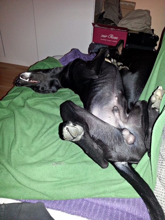 20130424_204100.jpg