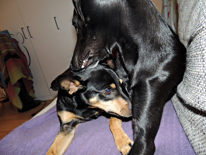 DSCN1078.JPG