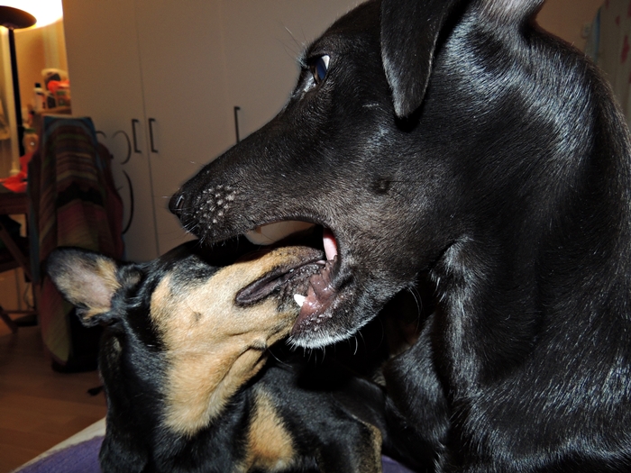 DSCN1084.JPG
