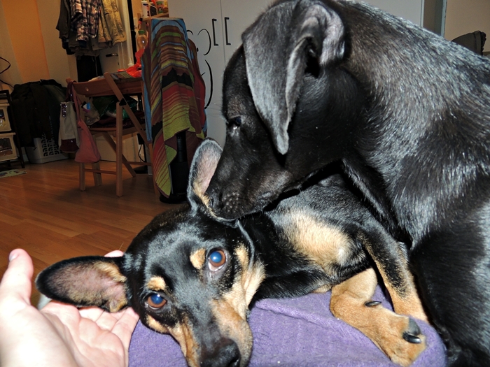 DSCN1087.JPG