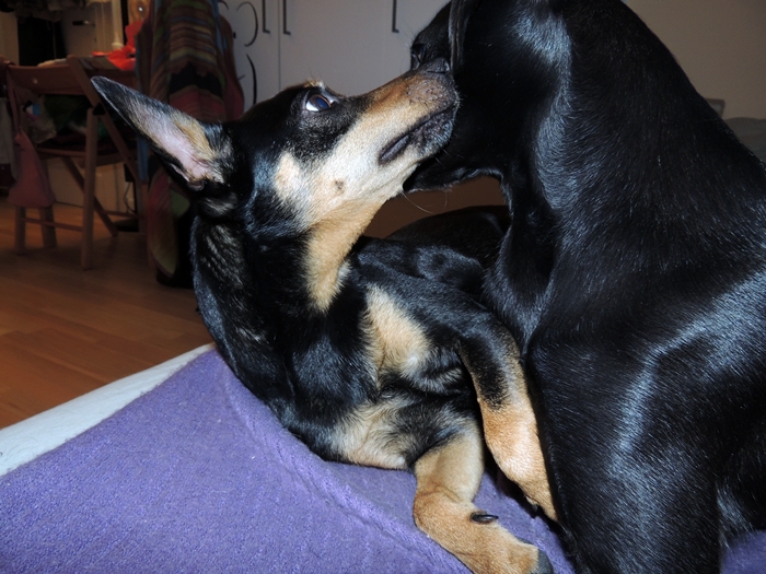 DSCN1088.JPG