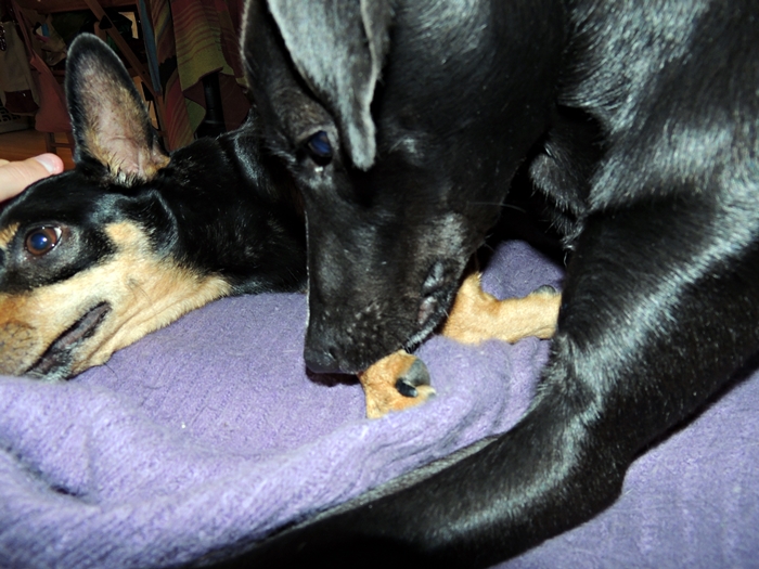 DSCN1089.JPG