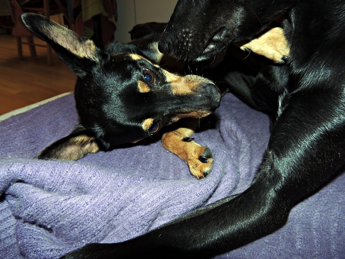 DSCN1090.JPG