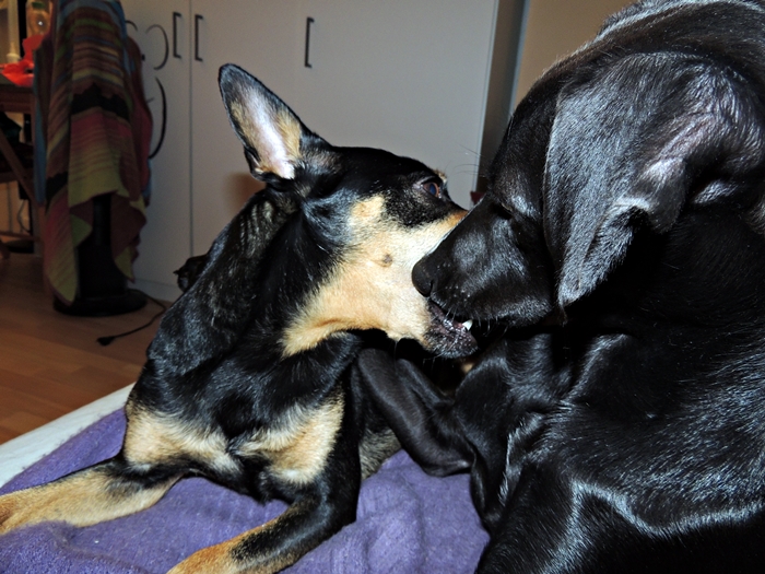 DSCN1092.JPG