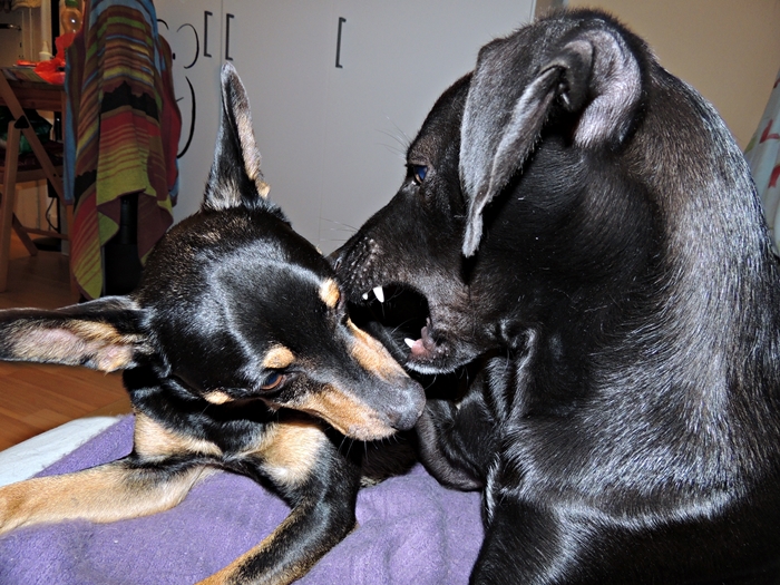 DSCN1093.JPG