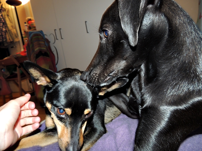 DSCN1094.JPG