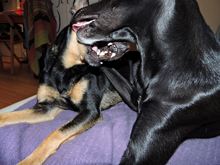 DSCN1095.JPG