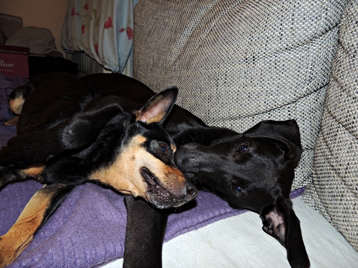 DSCN1096.JPG