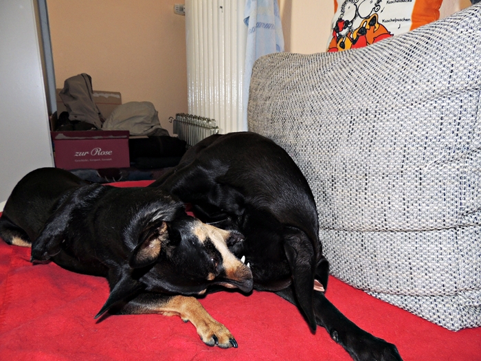 DSCN1112.JPG
