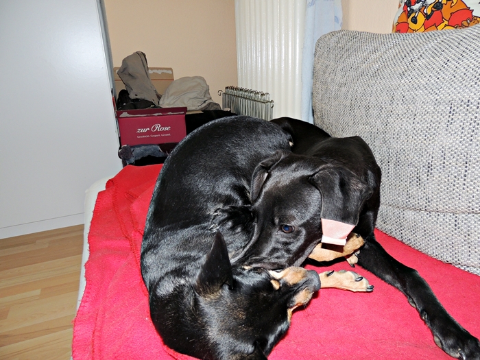 DSCN1117.JPG