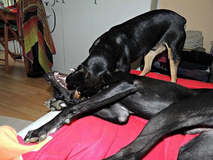 DSCN1123.JPG