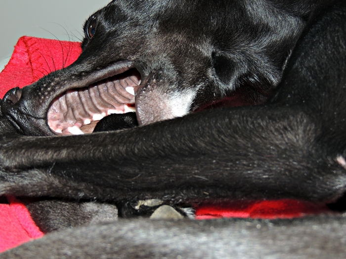 DSCN1124.JPG