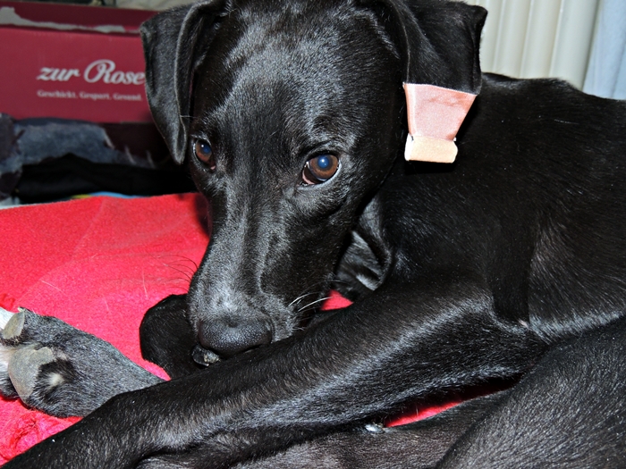 DSCN1125.JPG