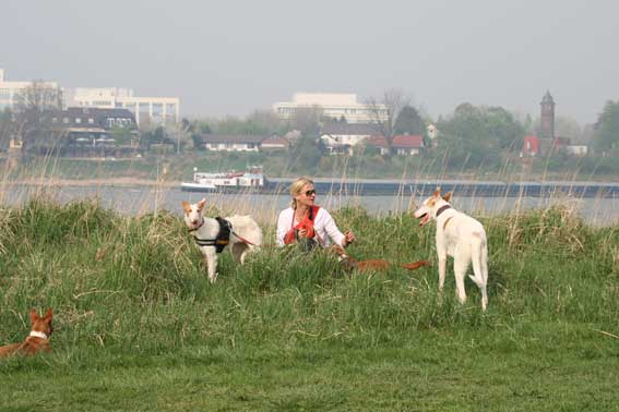 IMG_3065.jpg